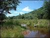 Waterberg Game Ranch property ...